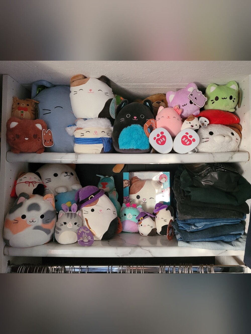 Squishmallows!